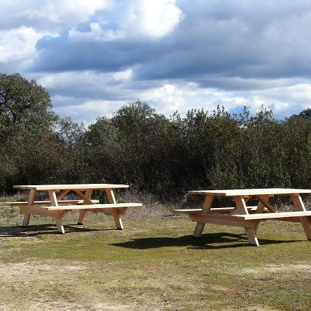 Bubulcus And Bolotas - Off Grid Nature Holiday Home Vimieiro  Esterno foto