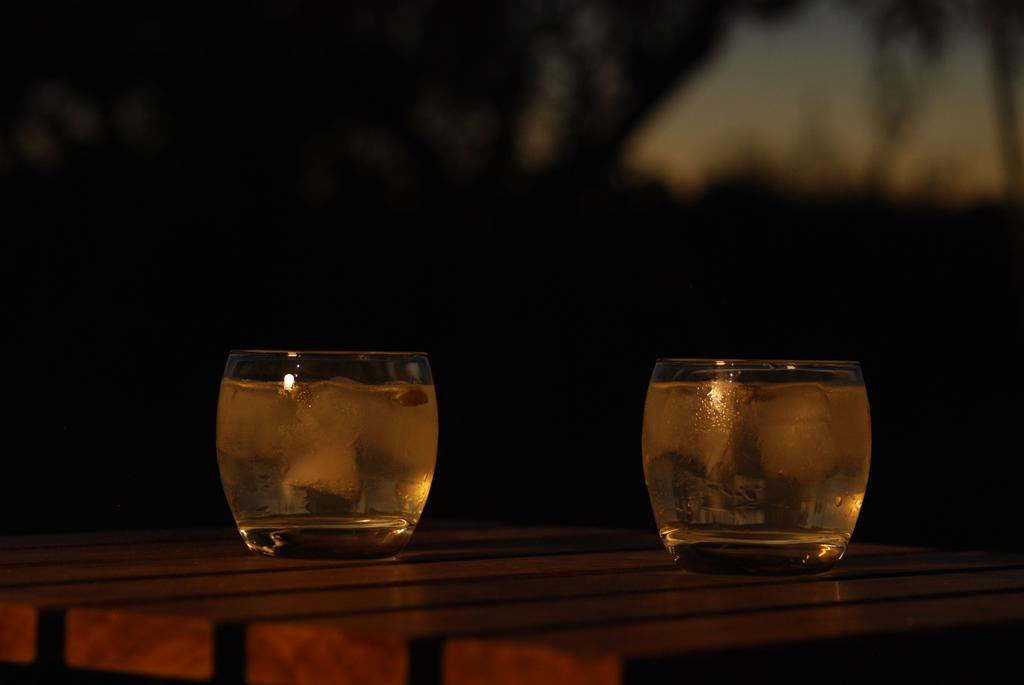 Bubulcus And Bolotas - Off Grid Nature Holiday Home Vimieiro  Esterno foto