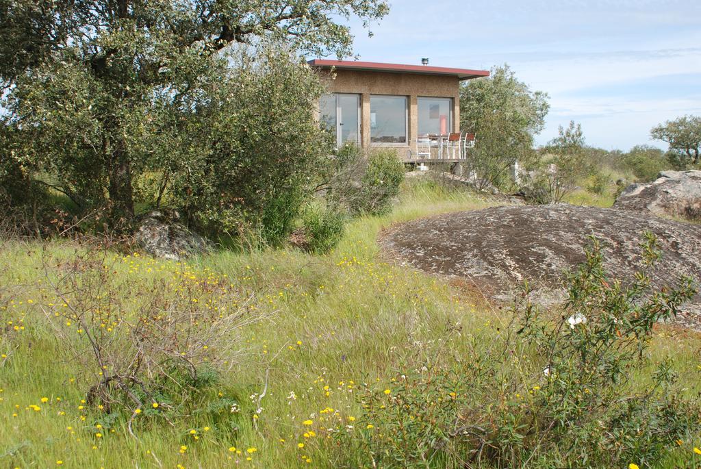 Bubulcus And Bolotas - Off Grid Nature Holiday Home Vimieiro  Esterno foto