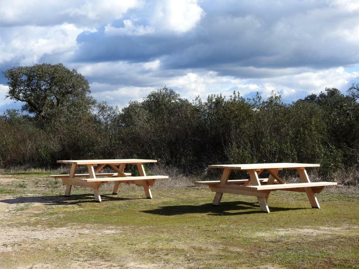 Bubulcus And Bolotas - Off Grid Nature Holiday Home Vimieiro  Esterno foto